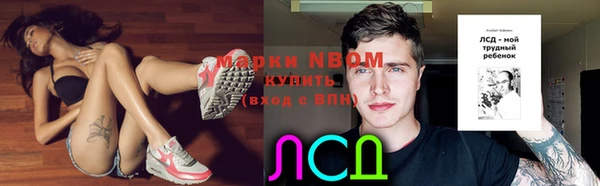 гидра Балахна