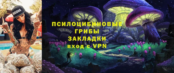 гидра Балахна