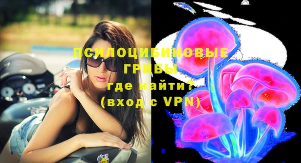 гидра Балахна